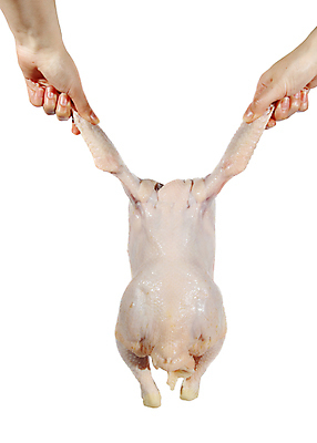 포토 JPG 해외이미지 동물 접시 손 잡화 길 음식 백그라운드 날개 다이어트 조류 육류 요리 사람없음 농장 우주 식당 식사 저녁식사 치킨 흰색 신선 맛 그릴 정상 자르기 굽기 피부 속도 날것 칼로리 칠면조 점심식사 고립 단백질 밭일 생식 암탉 맛있는 해외포토 식기 컬러 컨셉 농업 식재료 모션 주방용품 건강 신체부위 상점 닭 암컷 구이 닭고기요리 영양소 파일형식 이미지허브