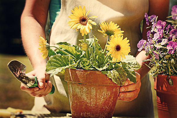 포토 JPG 해외이미지 응시 계절 여자 꽃 행복 화분 잎 자연 건강 한명 미소 사람 여름 뷰티 노란색 정원 봄 수확 도구 신선 황금 냄비 삽 제비꽃 원예 복고 데이지 점토 내추럴 돌봄 해외포토 식물 1 시선 감정 컬러 농업 모션 표정 취미 솥 생태계 파일형식 이미지허브
