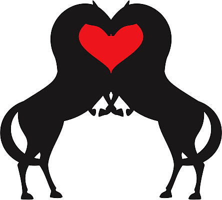 EPS 해외이미지 동물 실루엣 일러스트 모션 그림자 세트 달리기 걷기 점프 검은색 그룹 수집 오브젝트 꼬리 윤곽 갈기 해외일러스트 컬러 촬영기법 파일형식 벡터 이미지허브