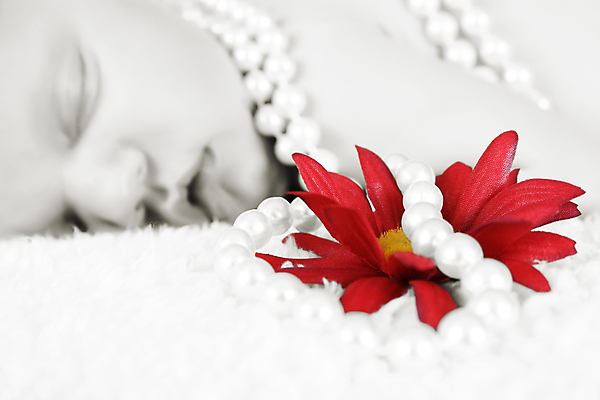 포토 JPG 해외이미지 백인 모델 여자 꽃 딸 여유 어린이 휴식 새로움 실내 건강 한명 안전 사람 청춘 평화 흰색 아기 신생아 신선 잠 달콤 작음 부드러움 솜털 거짓말 벌거벗은 특징 해외포토 서양인 식물 1 감정 컬러 컨셉 가족 내부 감각 맛 크기 파일형식 이미지허브