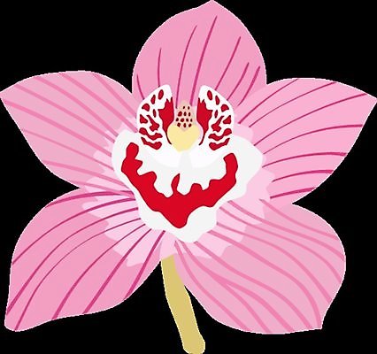 EPS 해외이미지 식물 꽃 꽃다발 꽃무늬 일러스트 자연 추상 프레임 초원 장식 여름 정원 봄 흰색 인사 신선 신용카드 개화 난초 모서리 가장자리 숲 작음 큼 배열 수선화 내추럴 고립 해외일러스트 계절 컬러 무늬 금융 예절 둘레 크기 생태계 파일형식 벡터 이미지허브