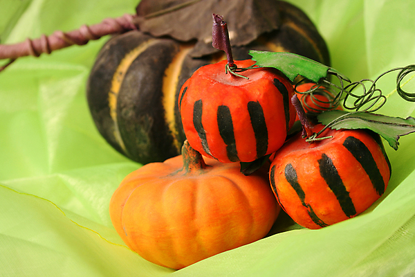 포토 JPG 해외이미지 줄기 백그라운드 잎 채소 오렌지 호박 사람없음 장식 초록색 검은색 줄무늬 할로윈 소용돌이 직물 파마 작음 날것 먼지 철사 옛날 해외포토 식물 헤어스타일 컬러 무늬 과일 회오리 크기 파일형식 이미지허브