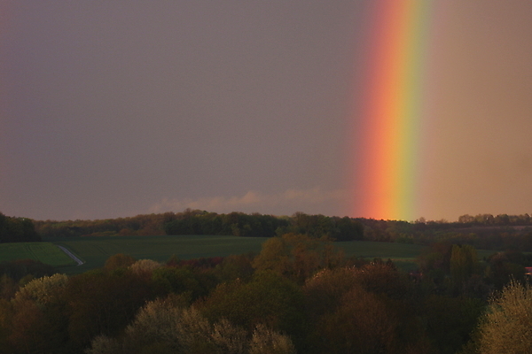 포토 JPG 해외이미지 주간 나무 무지개 자연 사람없음 야외 해외포토 자연요소 식물 생태계 파일형식 이미지허브