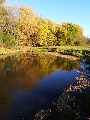 포토 JPG 해외이미지 나무 식물 계절 물결 백그라운드 사람없음 물 강 컬러풀 반사 환경 활발 개울 질감 장면 해외포토 자연요소 컬러 컨셉 파일형식 이미지허브