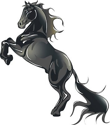 EPS 해외이미지 동물 실루엣 밭 일러스트 포유류 불 농장 검은색 자유 뜨거움 정상 심볼 갈기 망아지 연소 해외일러스트 자연요소 새끼 컬러 컨셉 농업 촬영기법 말 파일형식 벡터 산업 이미지허브