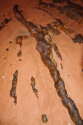 포토 JPG 해외이미지 모래 여행 백그라운드 자연 추상 휴가 건조 사람없음 모래사장 갈색 사막 모래언덕 해외포토 바다 컬러 무늬 언덕 생태계 파일형식 이미지허브