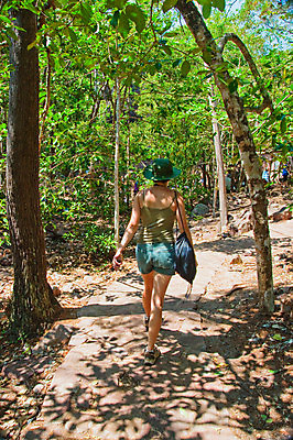 포토 JPG 해외이미지 나무 식물 공원 여행 자연 풍경 사람없음 야외 초록색 황무지 호주 숲 내추럴 해외포토 공공시설 컬러 오세아니아 생태계 파일형식 이미지허브