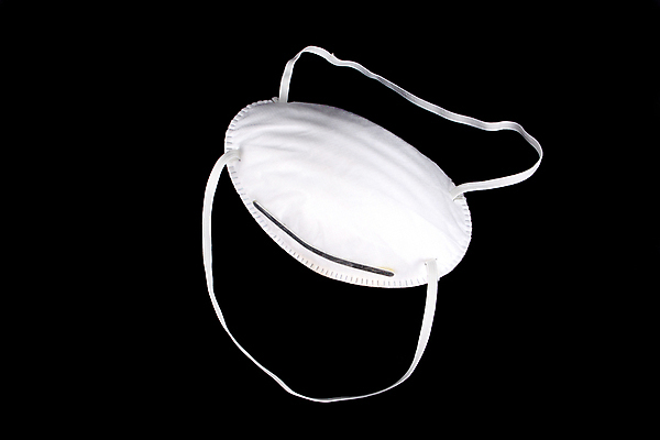 포토 JPG 해외이미지 조류 가면 사람없음 돼지 보호 예방 고립 방사선 해외포토 동물 컨셉 포유류 파일형식 이미지허브