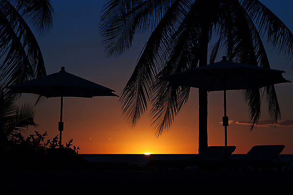 포토 JPG 해외이미지 나무 바다 잎 오렌지 우산 하늘 휴가 손바닥 그림자 사람없음 야외 파란색 세트 일출 일몰 나뭇가지 양산 코코넛 마다가스카르 해외포토 식물 손 컬러 과일 노을 파일형식 이미지허브