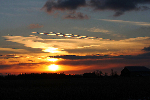 포토 JPG 해외이미지 나무 식물 실루엣 백그라운드 밭 자연 하늘 휴가 사람 사람없음 야외 빨간색 초록색 물 파란색 빛 컬러풀 햇빛 태양 뷰티 반사 노란색 일출 황혼 새벽 야간 저녁 장면 내추럴 수평선 해외포토 자연요소 컬러 농업 촬영기법 노을 일몰 생태계 파일형식 이미지허브