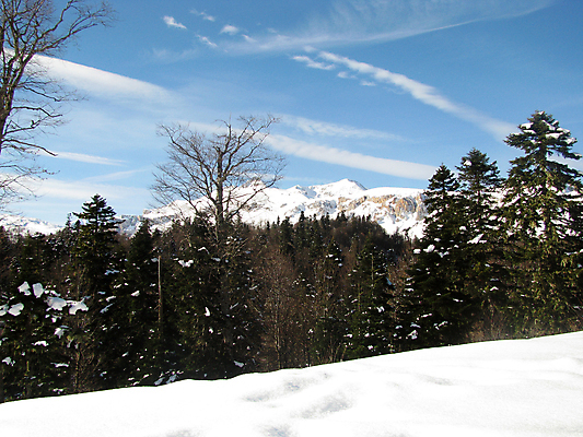 포토 JPG 해외이미지 식물 구름 유럽 여행 겨울 자연 하늘 풍경 사람없음 목재 뷰티 등산 소나무 정상 러시아 암초 절정 해외포토 자연요소 나무 계절 나라 재료 트래킹 생태계 파일형식 이미지허브