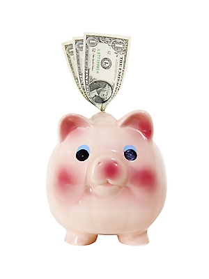 포토 JPG 해외이미지 클리핑패스 돈 사람없음 저축 돼지저금통 돼지 수집 오브젝트 고립 해외포토 포유류 금융 저금통 재산 파일형식 이미지허브