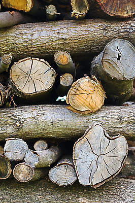 포토 JPG 해외이미지 산업 부분 사람없음 목재 세로 거친 닫기 장작 통나무 잡동사니 수목 해외포토 나무 재료 모션 파일형식 이미지허브