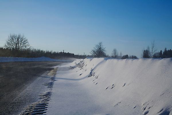 포토 JPG 해외이미지 나무 계절 백그라운드 겨울 자연 하늘 날씨 풍경 사람없음 야외 냉동 얼음 추위 흰색 시원함 서리 해외포토 자연요소 식물 컬러 생태계 파일형식 이미지허브