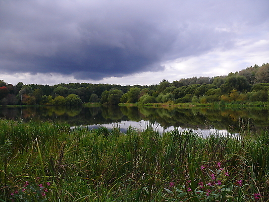 포토 JPG 해외이미지 나무 식물 계절 공원 호수 백그라운드 잎 밭 자연 하늘 사람없음 야외 초록색 뷰티 환경 봄 회색 흰색 나뭇가지 연못 신선 숲 땅 버드나무 싱글 장면 내추럴 모스크바 그리너리 해외포토 공공시설 컬러 농업 생태계 러시아 파일형식 트랜드컬러 이미지허브