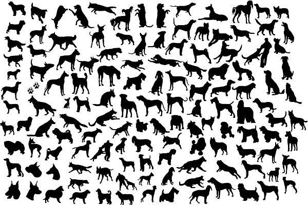 EPS 해외이미지 동물 실루엣 일러스트 반려동물 스패니얼 개 강아지 테리어 속도 불독 기르기 달마시안 총구 해외일러스트 포유류 촬영기법 돌봄 파일형식 벡터 이미지허브