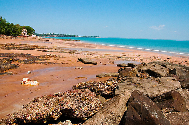 포토 JPG 해외이미지 야생동물 모래 바다 풍경 사람없음 물 파란색 태평양 해외포토 자연요소 동물 컬러 파일형식 이미지허브