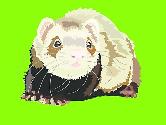 EPS 해외이미지 동물 척추동물 1 응시 일러스트 포유류 털 반려동물 갈색 검은색 분노 흰색 호기심 꼬리 육식동물 고립 해외일러스트 시선 감정 컬러 컨셉 파일형식 벡터 이미지허브