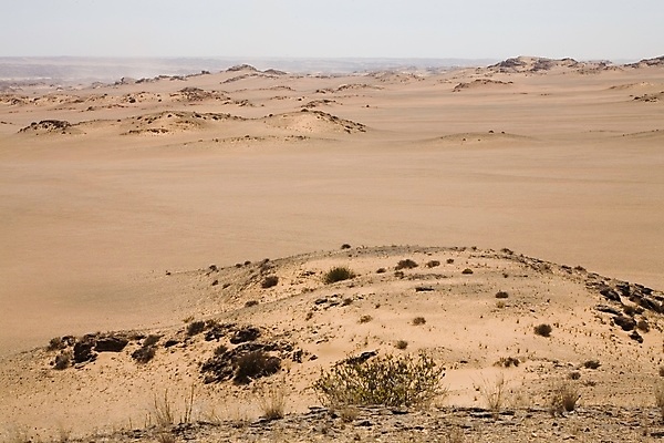 포토 JPG 해외이미지 모래 여행 아프리카 휴가 산 건조 파노라마 풍경 사람없음 사막 뜨거움 황무지 모래언덕 사파리 언덕 남쪽 사하라 나미비아 특별함 해외포토 나라 컨셉 촬영기법 방향 남아프리카 파일형식 이미지허브