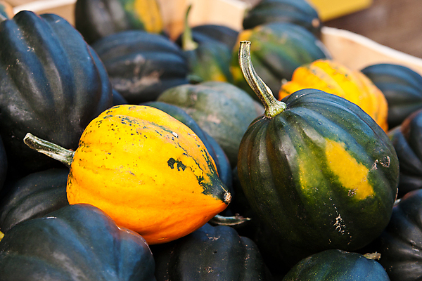 포토 JPG 해외이미지 음식 채소 호박 사람없음 가로 도토리 박 스쿼시 해외포토 스포츠 구기 견과류 파일형식 이미지허브