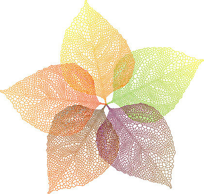 EPS 해외이미지 모양 식물 계절 실루엣 선 백그라운드 단풍 잎 꽃무늬 패턴 오렌지 일러스트 자연 표면 그래픽 빨간색 초록색 컬러풀 갈색 노란색 환경 보라색 가을 흰색 수집 묘사 그림 질감 윤곽 정맥 고립 해외일러스트 꽃 컬러 무늬 과일 촬영기법 생태계 혈관 파일형식 벡터 이미지허브