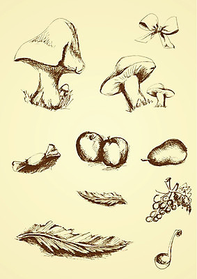 EPS 해외이미지 클립아트 손 디자인 리본 백그라운드 일러스트 포도 추상 사슴 사탕 그래픽 장식 세트 버섯 추위 수확 사과 수집 심볼 깃털 오브젝트 그림 복고 옛날 해외일러스트 무늬 농업 과일 포유류 디저트 신체부위 파일형식 벡터 이미지허브