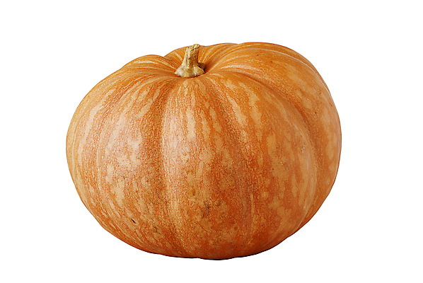 포토 JPG 해외이미지 식물 1 음식 백그라운드 농업 다이어트 오렌지 과일 호박 건강 사람없음 농장 노란색 식사 할로윈 수확 가을 흰색 신선 시장 우아함 맛 상품 큼 자르기 싱글 흰배경 유기농 날것 심플 칼로리 섬유 비타민 10월 내추럴 고립 밭일 생식 숙성 영양분 채식주의자 맛있는 해외포토 웰빙 계절 산업 컬러 컨셉 채소 모션 직물 날짜 크기 채식 영양소 파일형식 이미지허브