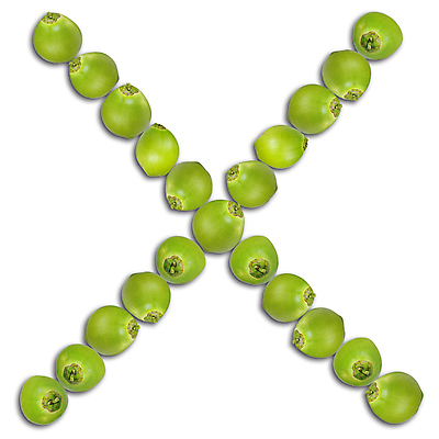 포토 JPG 해외이미지 캐릭터 디자인 알파벳 교육 음료 음식 백그라운드 다이어트 과일 자연 추상 건강 손바닥 사람없음 장식 초록색 여름 주스 껍질 흰색 신선 원형 달콤 맛 자르기 편지 먹기 오브젝트 사인 싱글 상쾌 유기농 날것 슛 코코넛 내추럴 고립 이국적 코딩 해외포토 도형 손 웰빙 영어 계절 감정 컬러 컨셉 무늬 모션 생태계 컴퓨터교육 파일형식 이미지허브