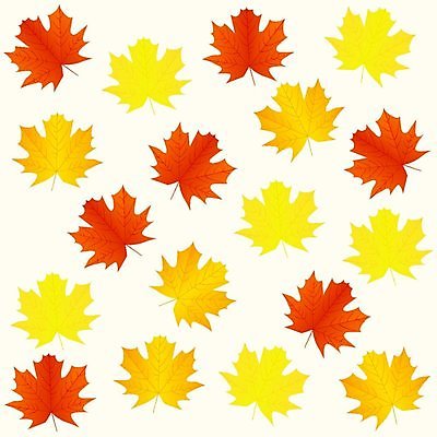 EPS 해외이미지 나무 식물 디자인 계절 실루엣 백그라운드 단풍 잎 캐나다 꽃무늬 패턴 오렌지 일러스트 자연 벽지 추상 미술 그래픽 장식 빨간색 컬러풀 갈색 노란색 가을 직물 떨어짐 숲 11월 천 타일 그림 질감 추수감사절 10월 내추럴 엘리먼트 반복 해외일러스트 꽃 기독교 컬러 컨셉 북아메리카 무늬 과일 문화예술 촬영기법 날짜 생태계 파일형식 벡터 이미지허브