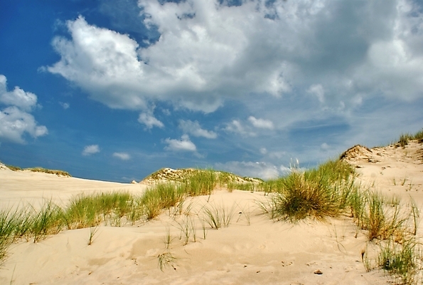 포토 JPG 해외이미지 공원 모래 벽지 하늘 휴가 따뜻함 사람없음 햇빛 태양 맑음 사막 뜨거움 6월 모래언덕 8월 7월 전국 해외포토 자연요소 공공시설 날씨 날짜 언덕 파일형식 이미지허브