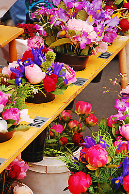 포토 JPG 해외이미지 식물 꽃잎 꽃 꽃다발 꽃무늬 사람없음 컬러풀 정원 봄 벚꽃 개화 시장 다발 해외포토 계절 컬러 무늬 파일형식 이미지허브