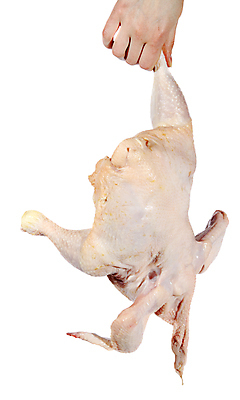 포토 JPG 해외이미지 동물 접시 손 잡화 길 음식 백그라운드 날개 다이어트 조류 육류 요리 사람없음 농장 우주 식당 식사 저녁식사 치킨 흰색 신선 맛 그릴 정상 자르기 굽기 피부 속도 날것 칼로리 칠면조 점심식사 고립 단백질 밭일 생식 암탉 맛있는 해외포토 식기 컬러 컨셉 농업 식재료 모션 주방용품 건강 신체부위 상점 닭 암컷 구이 닭고기요리 영양소 파일형식 이미지허브