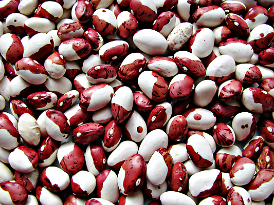 포토 JPG 해외이미지 식물 음식 백그라운드 농업 채소 재료 콩 건조 건강 식이요법 옥수수 씨앗 사람없음 빨간색 쌓기 주방 저녁식사 흰색 맛 먹이 유기농 질감 단백질 대두 채식주의자 해외포토 웰빙 산업 컬러 컨셉 모션 곡류 식사 채식 영양소 파일형식 이미지허브