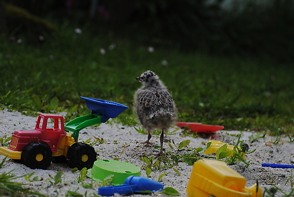 포토 JPG 해외이미지 사람없음 여름 놀이터 만들기 해외포토 계절 모션 놀이 파일형식 이미지허브