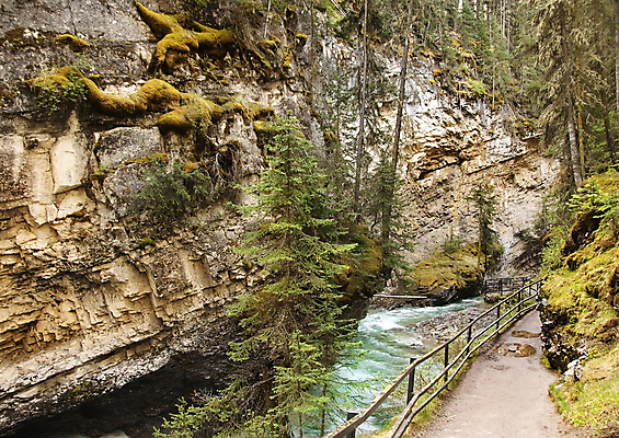 포토 JPG 해외이미지 공원 야생동물 여행 캐나다 자연 아침 휴가 산 풍경 사람없음 야외 물 파란색 강 평화 골짜기 계곡 침묵 봄 폭포 캠핑 하이킹 흐름 가을 바위 소나무 개울 빙하 밴프 앨버타 전국 로키산맥 해외포토 주간 자연요소 나무 동물 계절 공공시설 컬러 컨셉 북아메리카 레저 소리 돌_바위 생태계 파일형식 이미지허브
