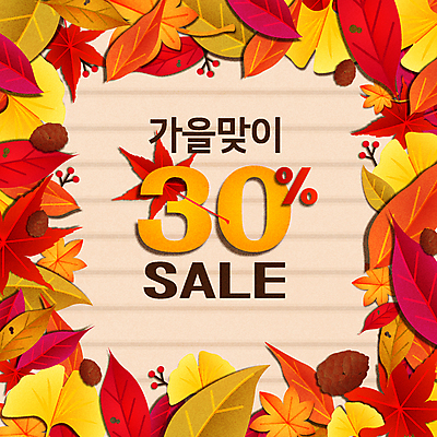 단풍 낙엽 일러스트 프레임 타이포그라피 사람없음 쇼핑 세일 가을 은행잎 솔방울 30% 프레임일러스트 국내일러스트 AI파일 문자 계절 잎 퍼센트 파일형식 벡터