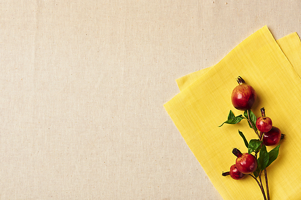 포토 JPG 스튜디오촬영 한국전통 열매 백그라운드 실내 사람없음 하이앵글 노란색 나뭇가지 직물 천 모시 질감 석류 원단샘플 베이지색배경 국내포토 나무 식물 전통 뷰포인트 컬러 과일 한국 내부 베이지색 파일형식