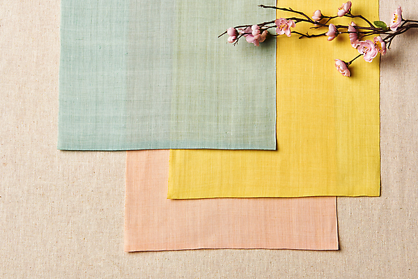 포토 JPG 스튜디오촬영 한국전통 백그라운드 실내 사람없음 하이앵글 나뭇가지 직물 천 배열 모시 질감 매화 겹침 조화 원단샘플 베이지색배경 국내포토 나무 전통 꽃 뷰포인트 한국 내부 베이지색 파일형식