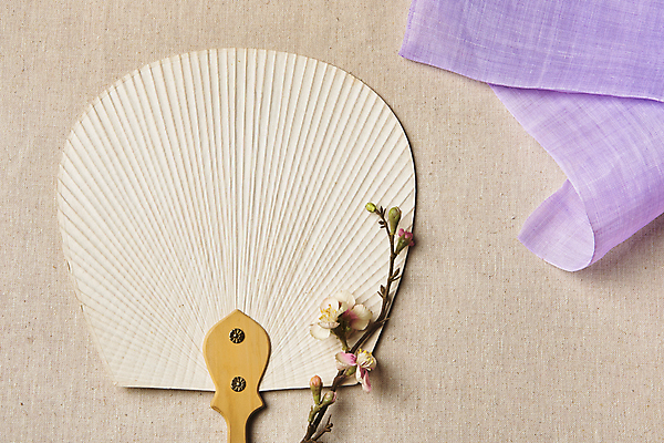 포토 JPG 스튜디오촬영 한국전통 백그라운드 전통소품 실내 사람없음 하이앵글 보라색 나뭇가지 직물 천 모시 질감 매화 조화 전통부채 원단샘플 베이지색배경 국내포토 나무 전통 꽃 뷰포인트 컬러 한국 내부 부채 오브젝트 베이지색 파일형식
