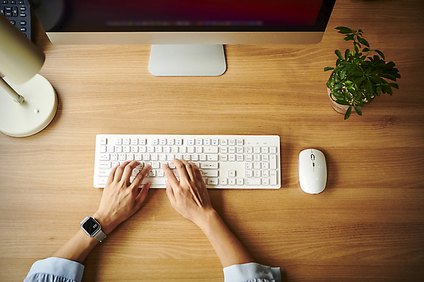 포토 직업 라이프스타일 여자 뷰포인트 회사 비즈니스 사람 내부 신체부위 스마트기기 컴퓨터 컴퓨터용품 작업 직장인 웨어러블 파일형식 스마트워치 모니터 화분 마우스 키보드 타이핑 손 업무 사무실 실내 디자이너 하이앵글 JPG 비즈니스우먼 비즈니스라이프 직장 국내포토