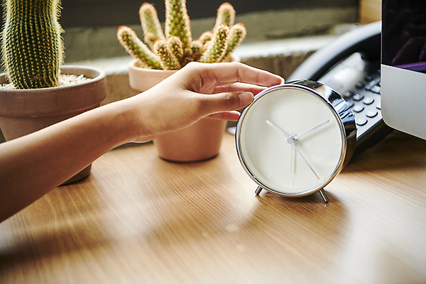 포토 JPG 손 화분 비즈니스 선인장 직장 실내 근접촬영 신체부위 비즈니스라이프 사무실 시간 비즈니스우먼 디자이너 확인 탁상시계 손뻗기 선인장화분 시계보기 국내포토 식물 직업 라이프스타일 여자 뷰포인트 시계 회사 모션 사람 내부 직장인 파일형식