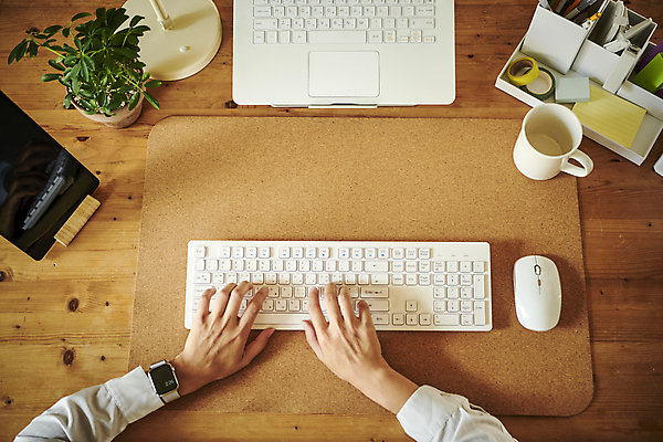 포토 JPG 손 화분 비즈니스 직장 실내 신체부위 비즈니스라이프 노트북 하이앵글 태블릿 사무실 머그컵 타이핑 키보드 마우스 업무 비즈니스우먼 볼펜통 스마트워치 국내포토 라이프스타일 여자 뷰포인트 회사 사람 내부 컵 전자제품 스마트기기 컴퓨터용품 작업 직장인 웨어러블 파일형식