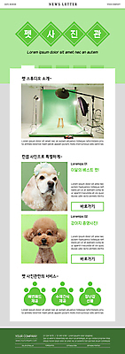 PSD 템플릿 ZIP 웹템플릿 두마리 의자 스튜디오 사람없음 연두색 반려동물 카메라 코커스패니얼 강아지 서비스 푸들 뉴스레터 개발바닥 사진관 사진조명 촬영장비 이미지템플릿 동물 가구 2 초록색 전자제품 스패니얼 도구 개 발바닥 파일형식