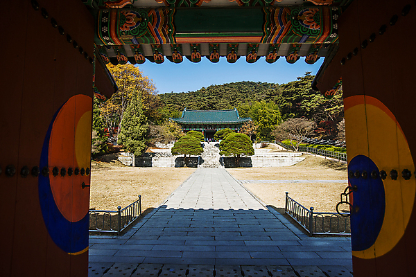 포토 JPG 주간 나무 유적지 산 사람없음 야외 숲 충청남도 대문 사당 사적지 충무공 현충사 아산 국내포토 자연요소 식물 고건축 문 충청도 파일형식