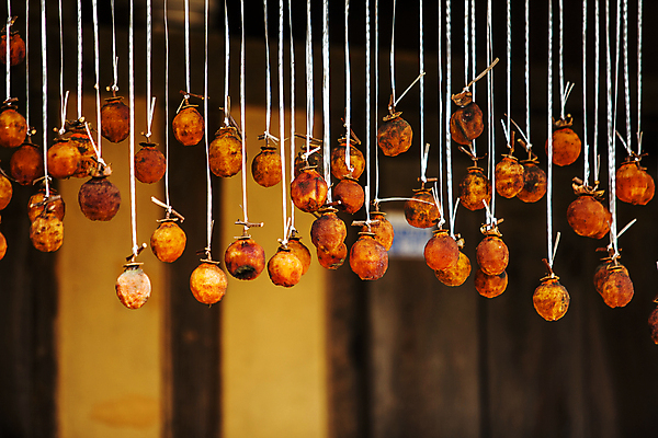 포토 JPG 주간 건조 초가집 매달리기 사람없음 야외 시골 실 충청남도 곶감 아산 국내포토 자연요소 모션 한옥 감 충청도 건과일 파일형식