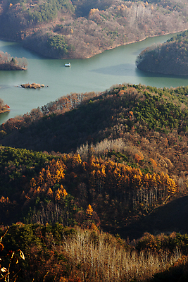 포토 JPG 주간 단풍 산 사람없음 야외 가을풍경 가을 숲 충청북도 제천 청풍호 국내포토 자연요소 계절 호수 잎 풍경 충청도 파일형식 가을_계절