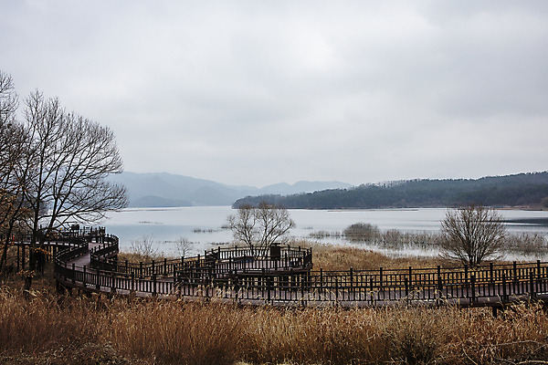 포토 JPG 주간 나무 구름 하늘 풍경 사람없음 야외 흐림 나무울타리 대전 대청호 국내포토 자연요소 식물 호수 날씨 한국 울타리 청주 파일형식