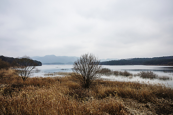 포토 JPG 주간 나무 구름 하늘 산 풍경 사람없음 야외 흐림 대전 대청호 국내포토 자연요소 식물 호수 날씨 한국 청주 파일형식