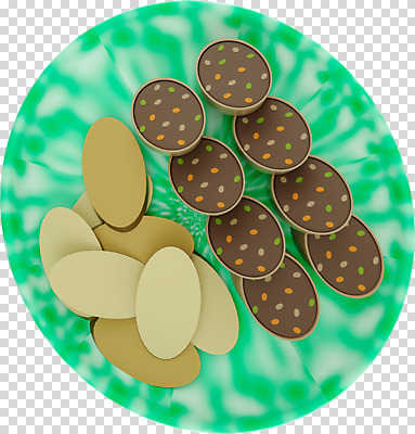 편집 편집이미지 접시 누끼 사람없음 3D소스 3D 허파 분식 디지털합성 간 순대 PNG 분식집 편집소스 식기 음식 식당 장기_의학 호흡기관 파일형식