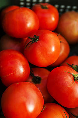 포토 JPG 토마토 근접촬영 사람없음 바구니 전라북도 특산물 완주군 과채 국내포토 뷰포인트 채소 과일 전라도 파일형식